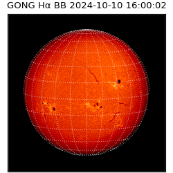 gong - 2024-10-10T16:00:02