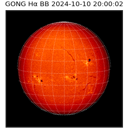 gong - 2024-10-10T20:00:02