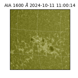 saia - 2024-10-11T11:00:14.126000