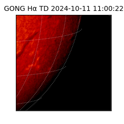 gong - 2024-10-11T11:00:22