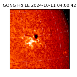 gong - 2024-10-11T04:00:42