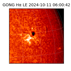 gong - 2024-10-11T06:00:42