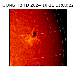gong - 2024-10-11T11:00:22