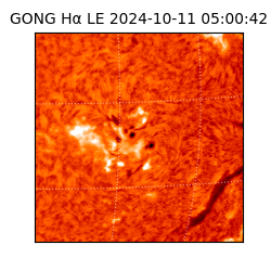 gong - 2024-10-11T05:00:42