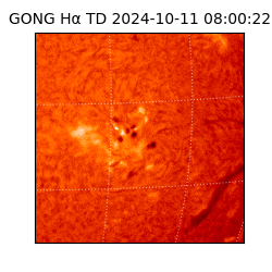 gong - 2024-10-11T08:00:22