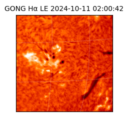gong - 2024-10-11T02:00:42