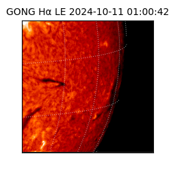 gong - 2024-10-11T01:00:42
