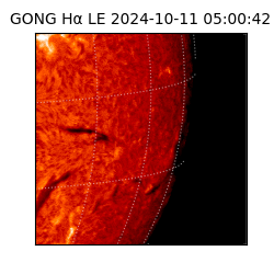 gong - 2024-10-11T05:00:42