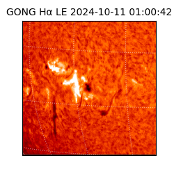 gong - 2024-10-11T01:00:42