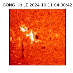 gong - 2024-10-11T04:00:42
