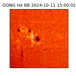 gong - 2024-10-11T15:00:02