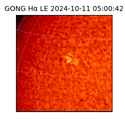 gong - 2024-10-11T05:00:42