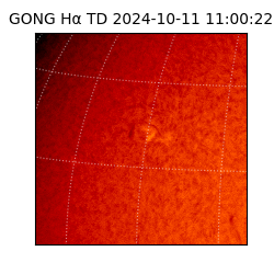 gong - 2024-10-11T11:00:22
