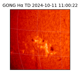 gong - 2024-10-11T11:00:22