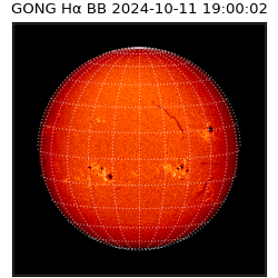 gong - 2024-10-11T19:00:02