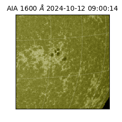 saia - 2024-10-12T09:00:14.126000