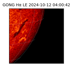 gong - 2024-10-12T04:00:42
