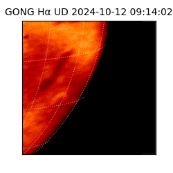gong - 2024-10-12T09:14:02