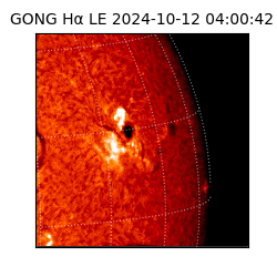 gong - 2024-10-12T04:00:42