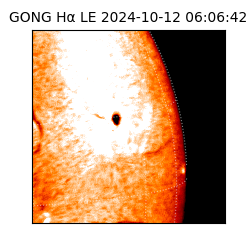 gong - 2024-10-12T06:06:42