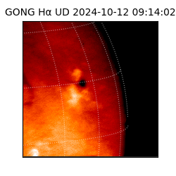 gong - 2024-10-12T09:14:02