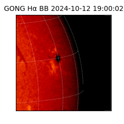 gong - 2024-10-12T19:00:02