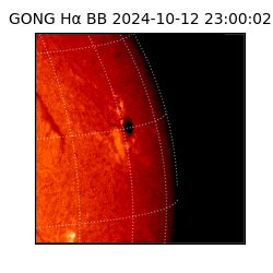 gong - 2024-10-12T23:00:02