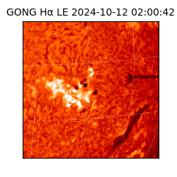 gong - 2024-10-12T02:00:42