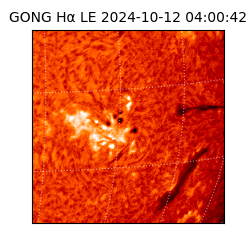 gong - 2024-10-12T04:00:42