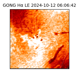 gong - 2024-10-12T06:06:42