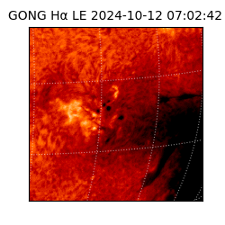 gong - 2024-10-12T07:02:42