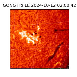 gong - 2024-10-12T02:00:42