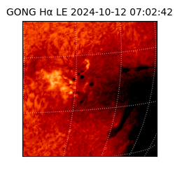 gong - 2024-10-12T07:02:42