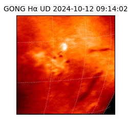 gong - 2024-10-12T09:14:02
