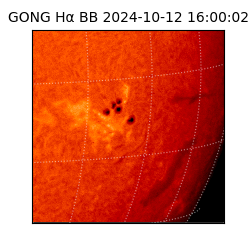 gong - 2024-10-12T16:00:02