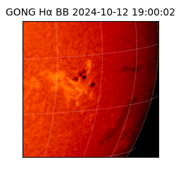 gong - 2024-10-12T19:00:02