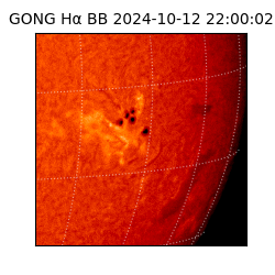 gong - 2024-10-12T22:00:02