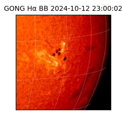 gong - 2024-10-12T23:00:02