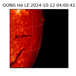 gong - 2024-10-12T04:00:42