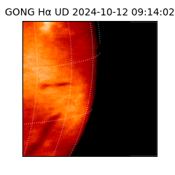 gong - 2024-10-12T09:14:02