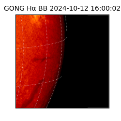gong - 2024-10-12T16:00:02