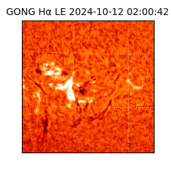 gong - 2024-10-12T02:00:42