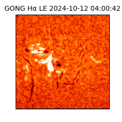 gong - 2024-10-12T04:00:42