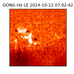 gong - 2024-10-12T07:02:42