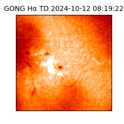 gong - 2024-10-12T08:19:22