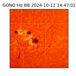 gong - 2024-10-12T14:47:02