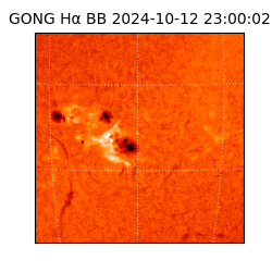 gong - 2024-10-12T23:00:02