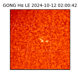 gong - 2024-10-12T02:00:42