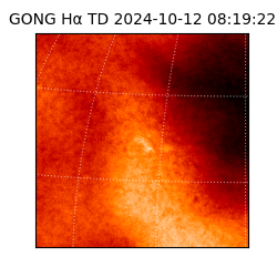 gong - 2024-10-12T08:19:22