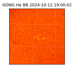 gong - 2024-10-12T19:00:02